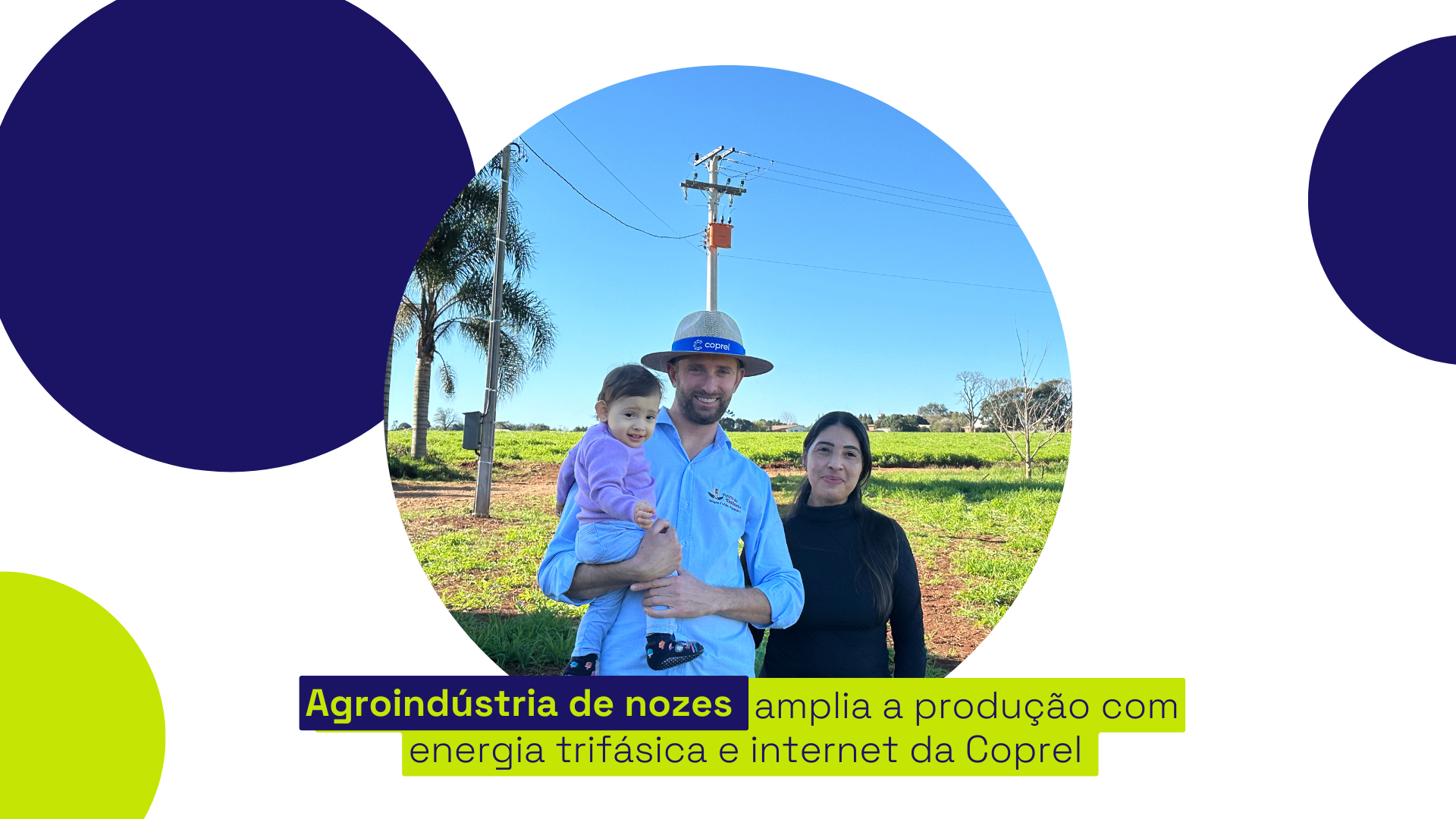 Agroindústria de nozes amplia a produção com energia trifásica e internet da Coprel